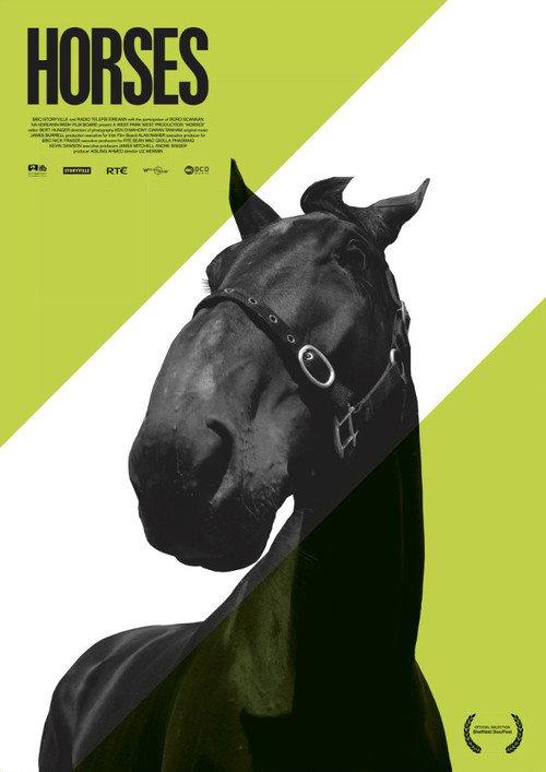 Horses backdrop
