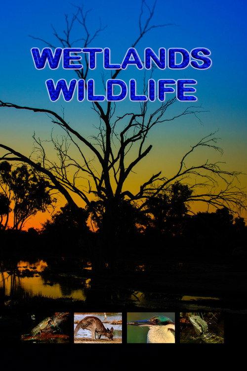 Wetlands Wildlife backdrop