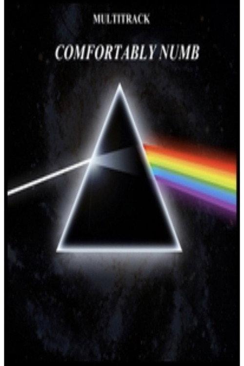 Pink Floyd - Comfortably Numb backdrop