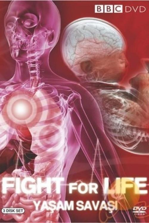 Fight for Life backdrop