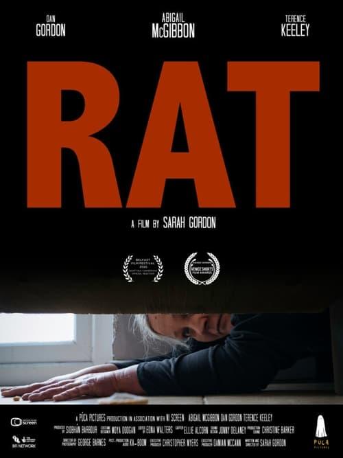 Rat backdrop