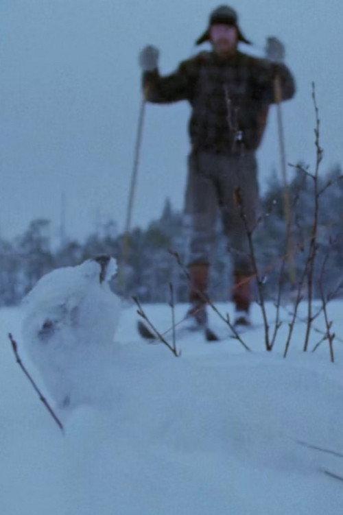 Tapiola backdrop