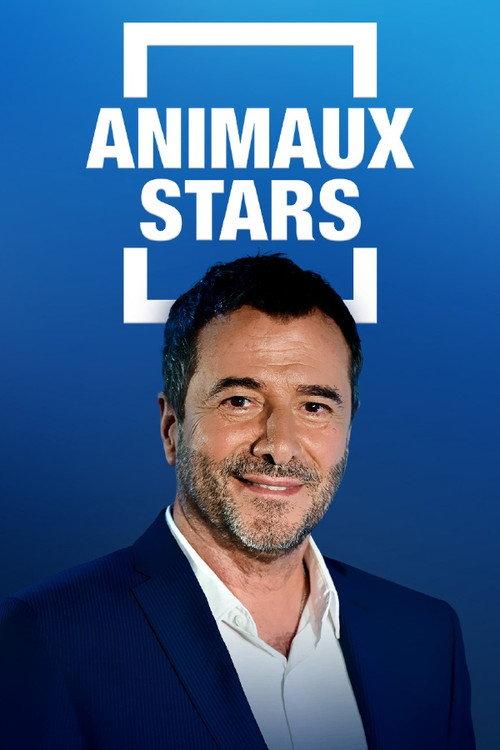 Animaux stars backdrop
