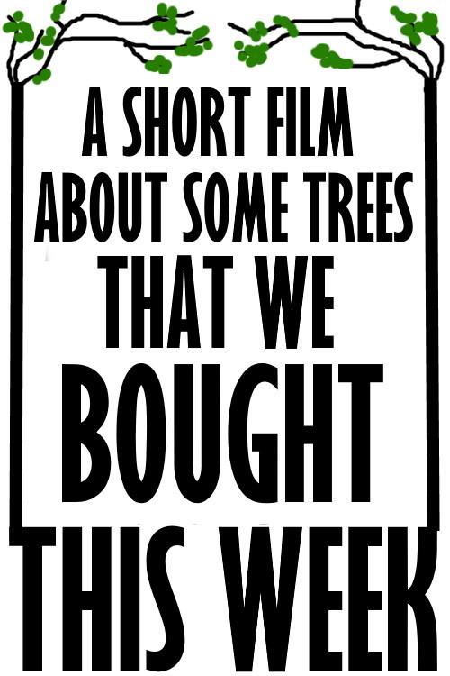 A Short Film About Some Trees That We Bought This Week backdrop
