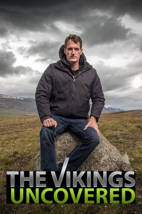 The Vikings Uncovered backdrop
