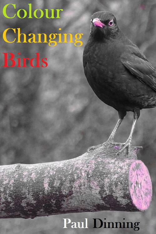 Colour Changing Birds backdrop