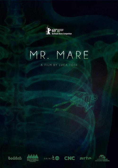 Mr. Mare backdrop