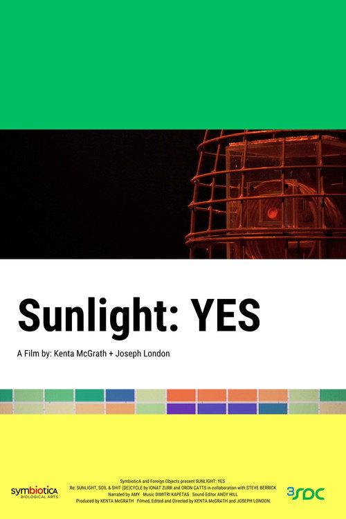 Sunlight: YES backdrop