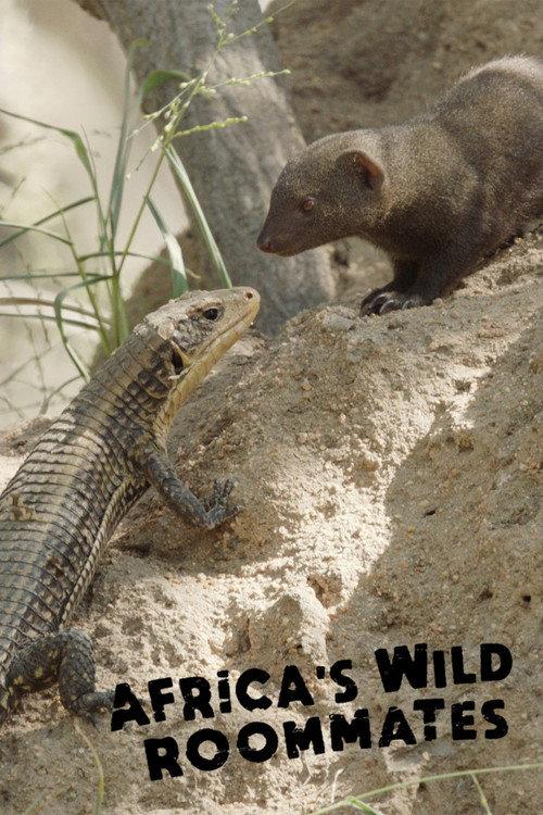 Africa's Wild Roommates: How Animals Share Bed and Board backdrop