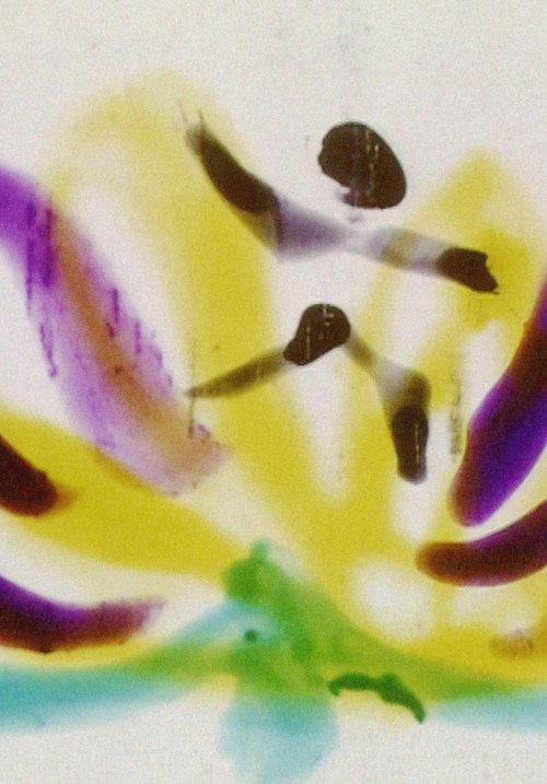 Calypso backdrop