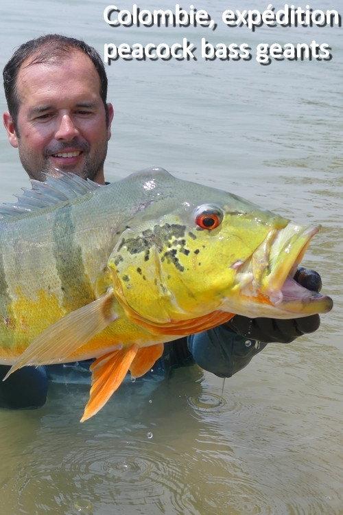 Colombia, A Giant Peacock Bass Expedition backdrop