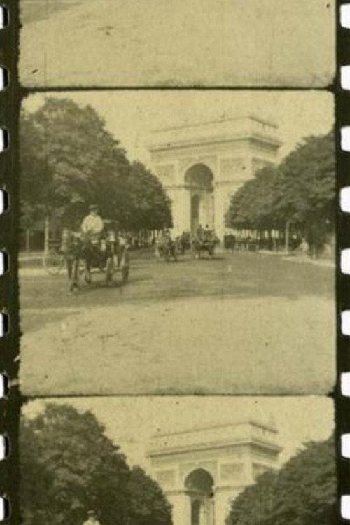 Avenue du Bois du Boulogne backdrop