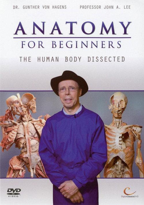 Anatomy for Beginners backdrop