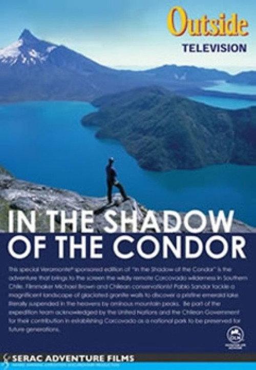 In the Shadow of the Condor backdrop