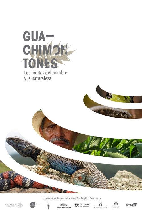 Guachimontones, los límites del hombre y la naturaleza. backdrop