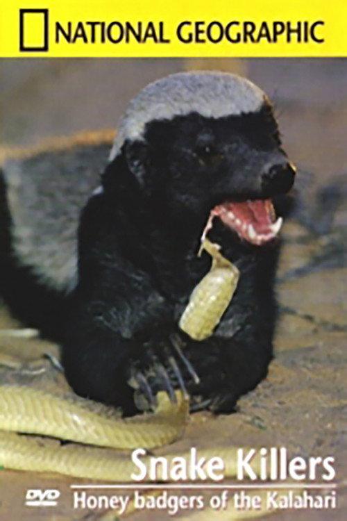 Snake Killers - Honey badgers of the Kalahari backdrop