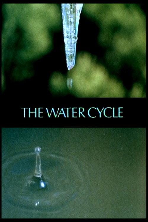 The Water Cycle backdrop