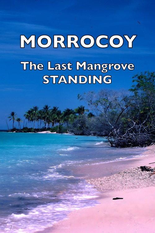 Morrocoy: The Last Mangrove Standing backdrop