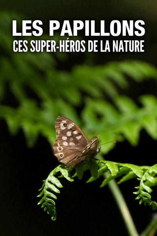 Les Papillons, ces super-héros de la nature backdrop