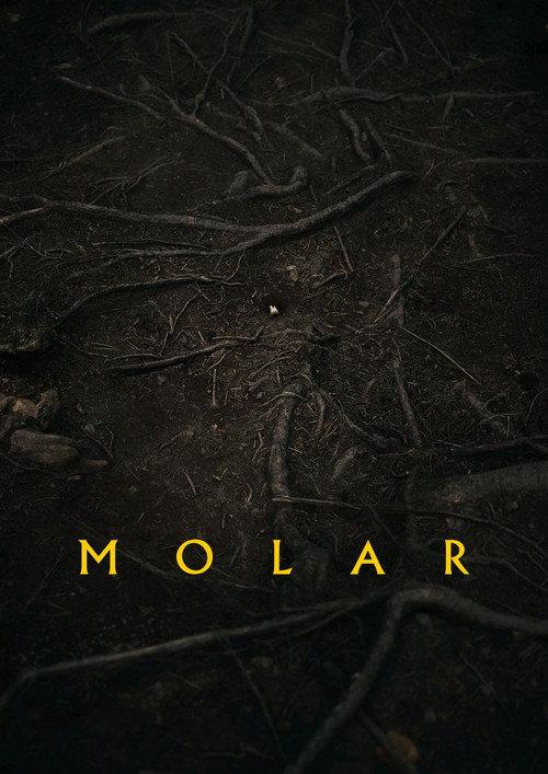 Molar backdrop