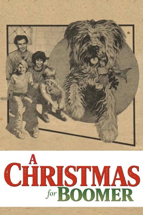 A Christmas for Boomer backdrop