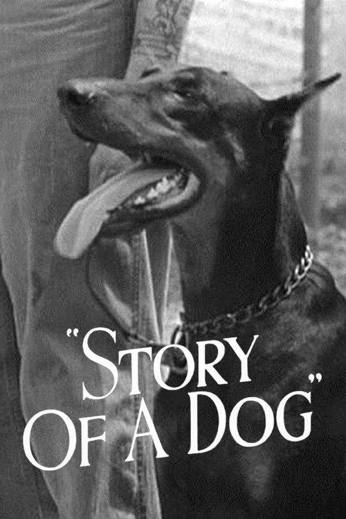 Story of a Dog backdrop
