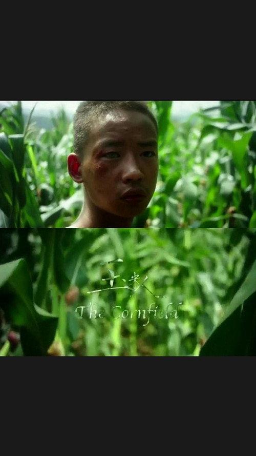 The Cornfield backdrop
