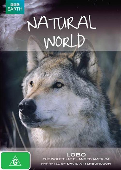A Wolf Called Storm backdrop