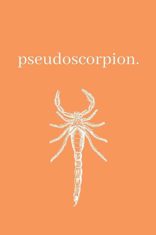 Pseudoscorpion backdrop