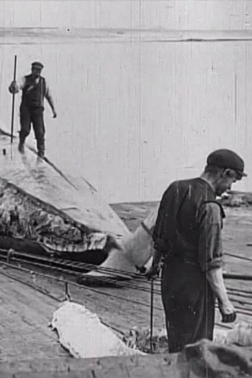 Whaling Afloat and Ashore backdrop