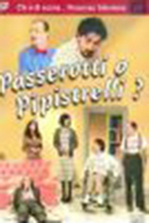 Passerotti o pipistrelli? backdrop