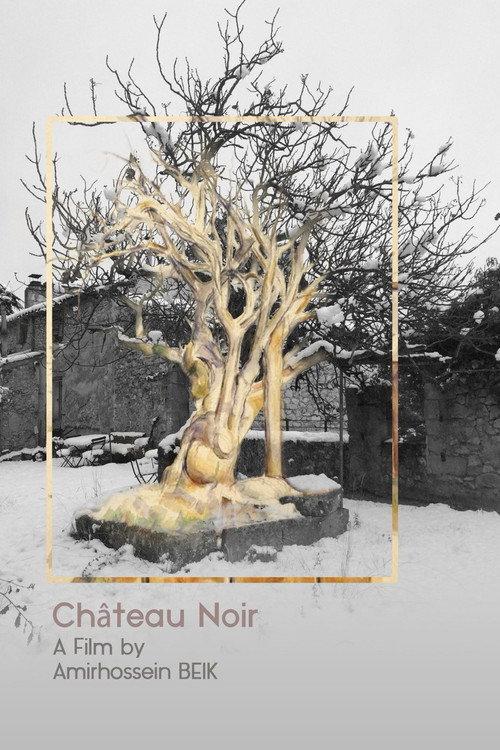 Château Noir backdrop