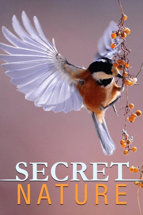 Secret Nature backdrop