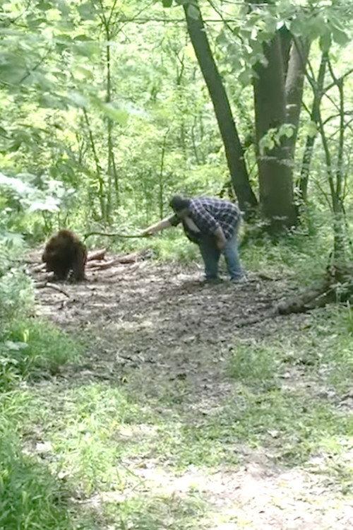 Bigfoot backdrop