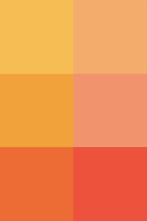 #ef795a, #f49956, #e94e1b, #f9b233, #f39200, #e7302a. backdrop