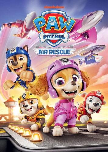 PAW Patrol: Air Rescue backdrop