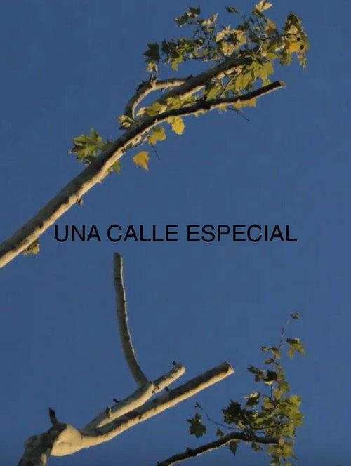 Una Calle Especial backdrop