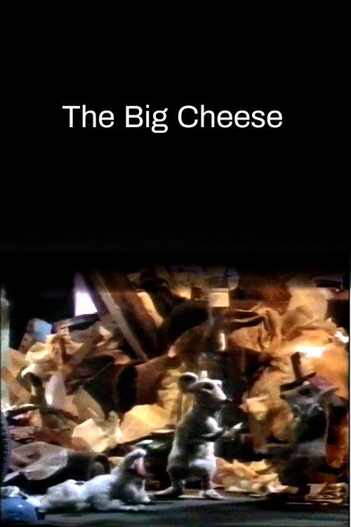 The Big Cheese backdrop