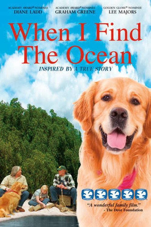 When I Find the Ocean backdrop
