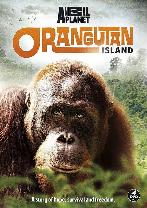 Orangutan Island backdrop