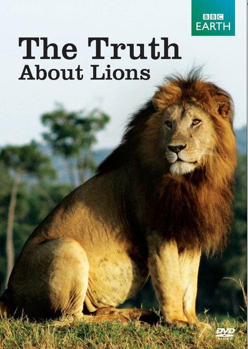 The Truth About Lions backdrop