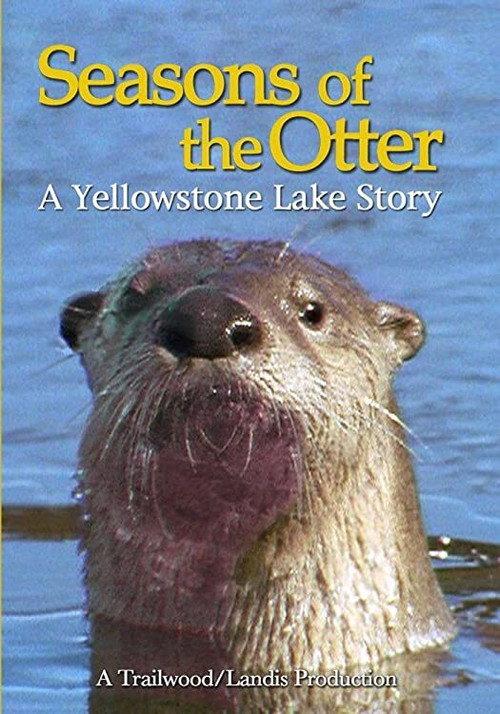Seasons of the Otter backdrop