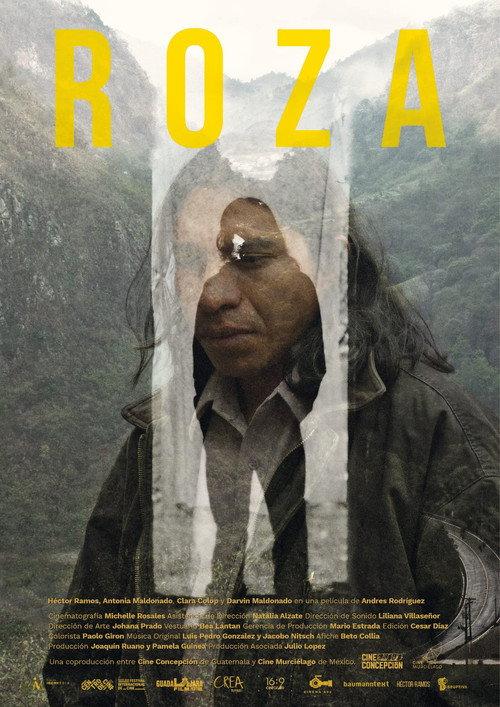Roza backdrop