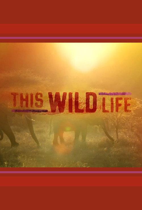 This Wild Life backdrop
