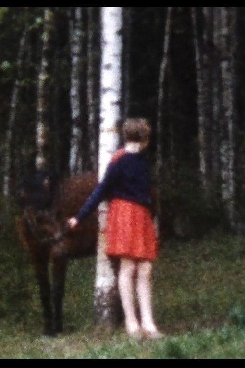 Världens sämsta hästtjej backdrop