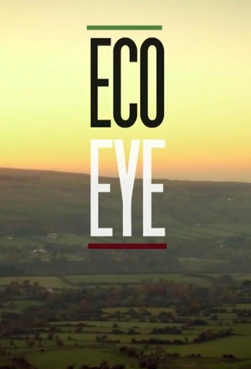 Eco Eye backdrop