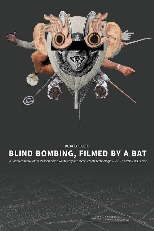 Blind Bombing, Filmed by a Bat backdrop