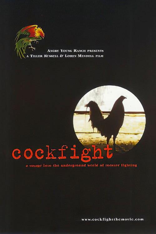 Cockfight backdrop