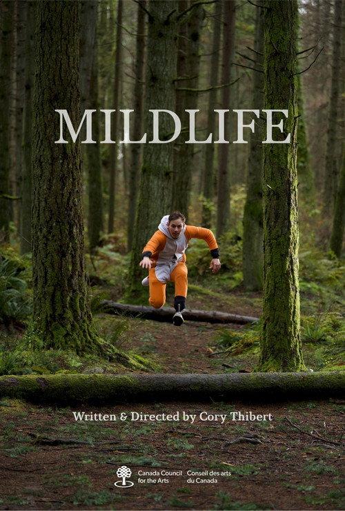 Mildlife backdrop