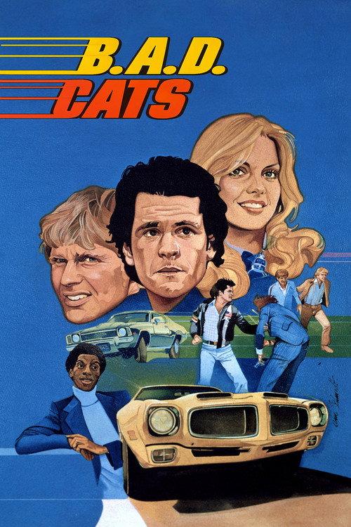 B.A.D. Cats backdrop